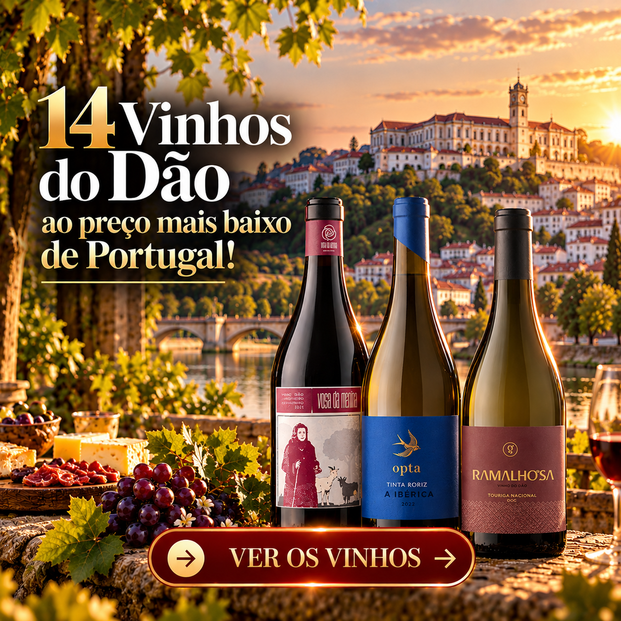 Imagem promocional do Clube Terroirs com três garrafas de vinho do Dão — Rosa da Menina, Opta Tinta Roriz A Ibérica 2022 e Ramalhosa Touriga Nacional — sobre uma mesa rústica com uvas, queijos e enchidos. Ao fundo, uma vista panorâmica da Universidade de Coimbra e do rio Mondego, iluminados por um pôr do sol dourado. Em destaque, o título «14 Vinhos do Dão ao preço mais baixo de Portugal!» e, na parte inferior, um elegante botão bordeaux e dourado com a inscrição «VER OS VINHOS».